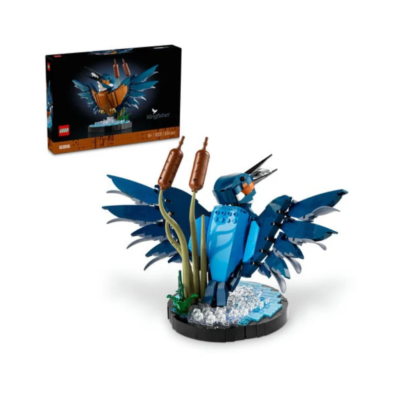 10331 Kingfisher Bird