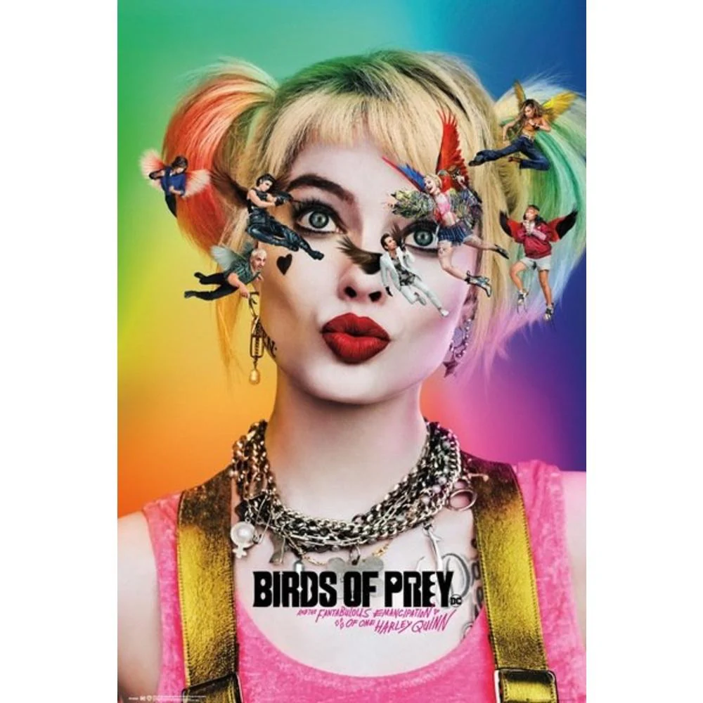 Birds Of Prey Poster
