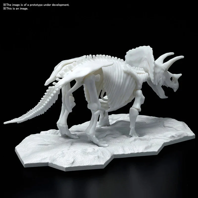 Bandai : Dinosaur Model Kit Limex Skeleton - Triceratops - Image 4