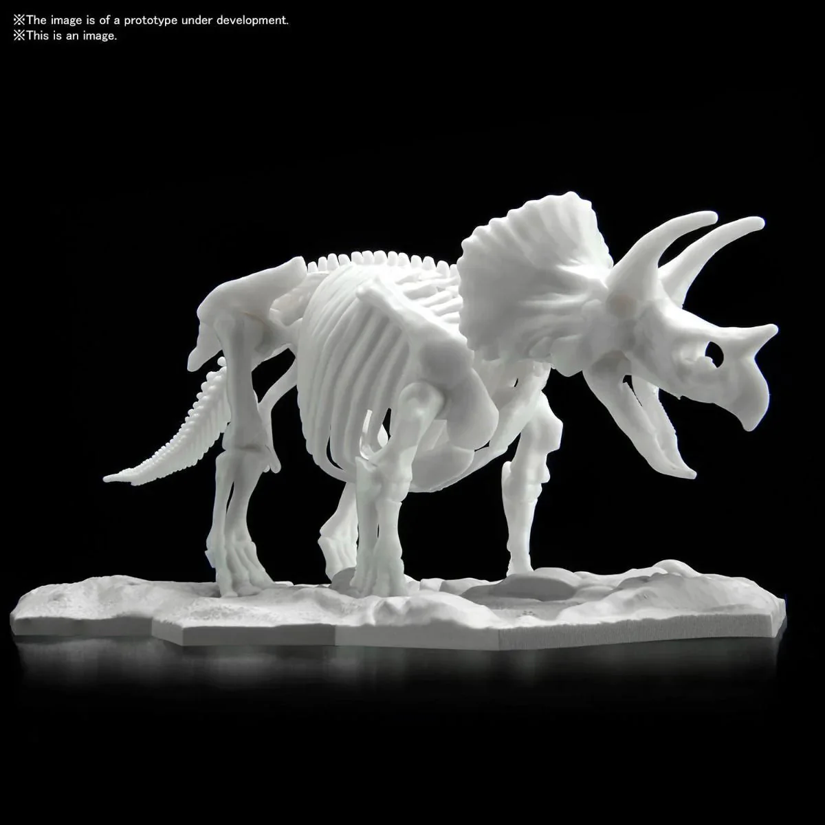 Bandai : Dinosaur Model Kit Limex Skeleton - Triceratops - Image 5