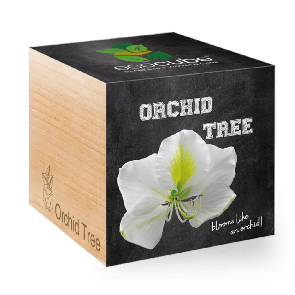 Ecocube Orchid Tree