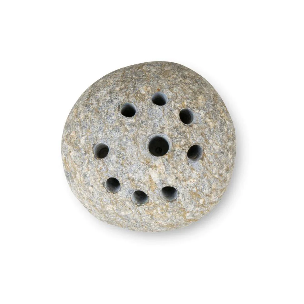 Frog Stone